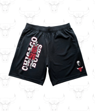 Bulls Mesh Shorts